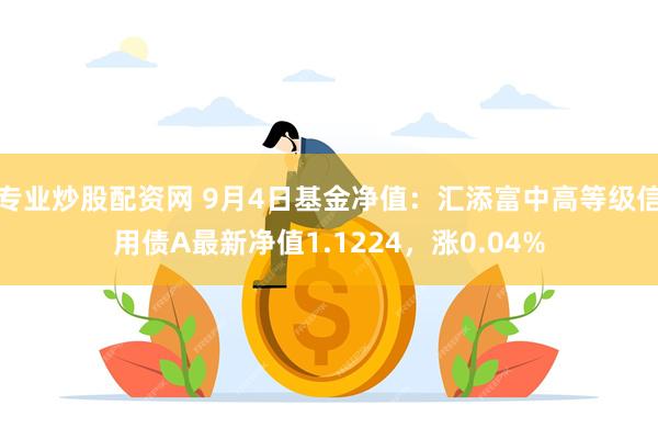 专业炒股配资网 9月4日基金净值：汇添富中高等级信用债A最新净值1.1224，涨0.04%