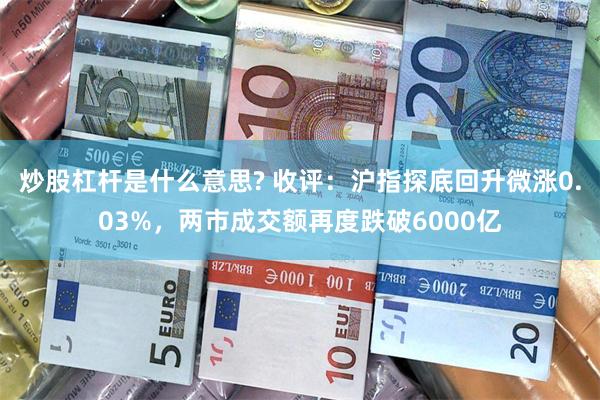 炒股杠杆是什么意思? 收评：沪指探底回升微涨0.03%，两市成交额再度跌破6000亿