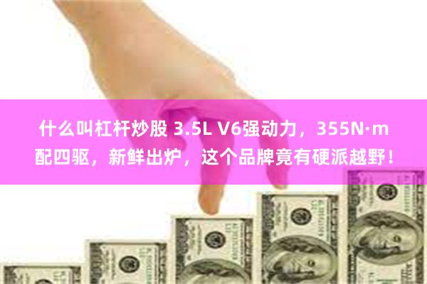 什么叫杠杆炒股 3.5L V6强动力，355N·m配四驱，新鲜出炉，这个品牌竟有硬派越野！