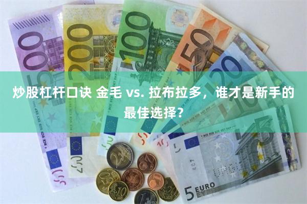 炒股杠杆口诀 金毛 vs. 拉布拉多，谁才是新手的最佳选择？