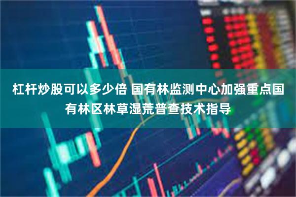 杠杆炒股可以多少倍 国有林监测中心加强重点国有林区林草湿荒普查技术指导