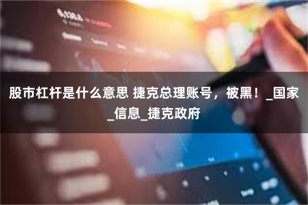 股市杠杆是什么意思 捷克总理账号，被黑！_国家_信息_捷克政府