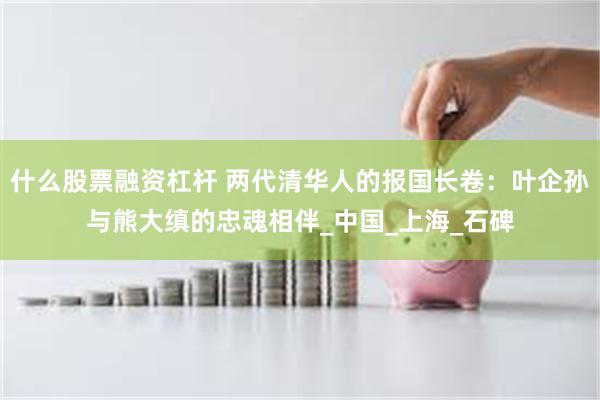 什么股票融资杠杆 两代清华人的报国长卷：叶企孙与熊大缜的忠魂相伴_中国_上海_石碑
