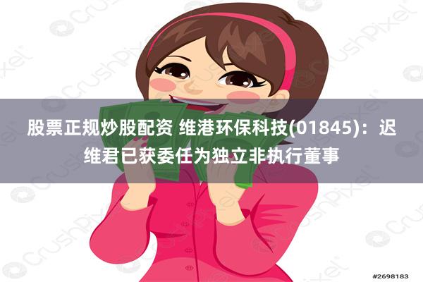 股票正规炒股配资 维港环保科技(01845)：迟维君已获委任为独立非执行董事