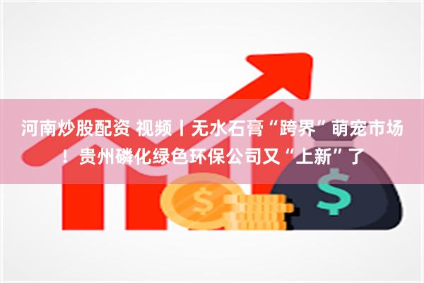 河南炒股配资 视频丨无水石膏“跨界”萌宠市场！贵州磷化绿色环保公司又“上新”了