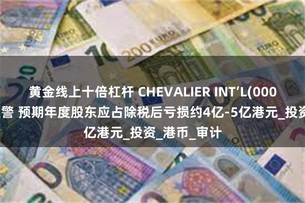 黄金线上十倍杠杆 CHEVALIER INT‘L(00025.HK)发盈警 预期年度股东应占除税后亏损约4亿-5亿港元_投资_港币_审计