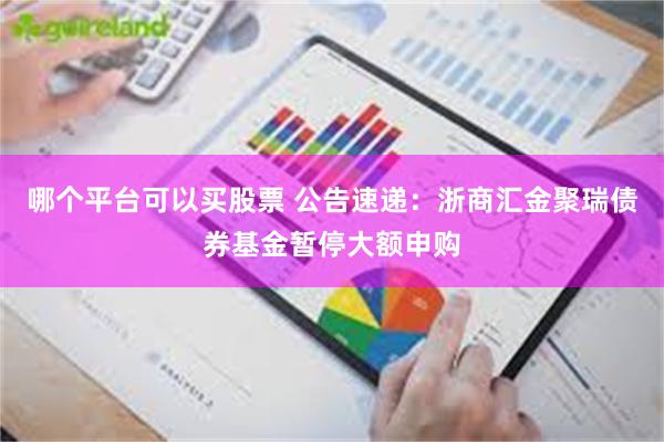 哪个平台可以买股票 公告速递：浙商汇金聚瑞债券基金暂停大额申购