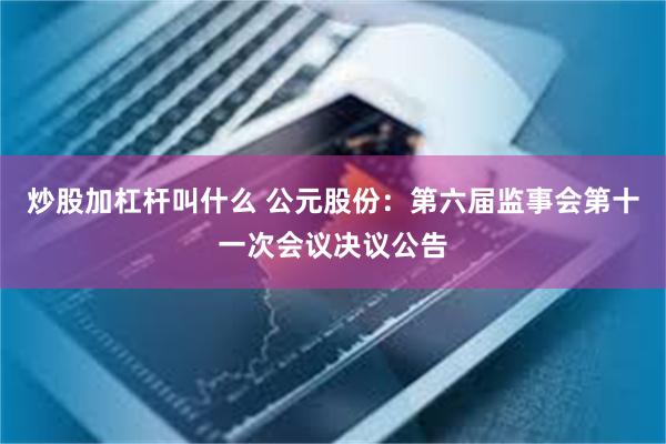 炒股加杠杆叫什么 公元股份：第六届监事会第十一次会议决议公告