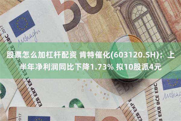 股票怎么加杠杆配资 肯特催化(603120.SH)：上半年净利润同比下降1.73% 拟10股派4元
