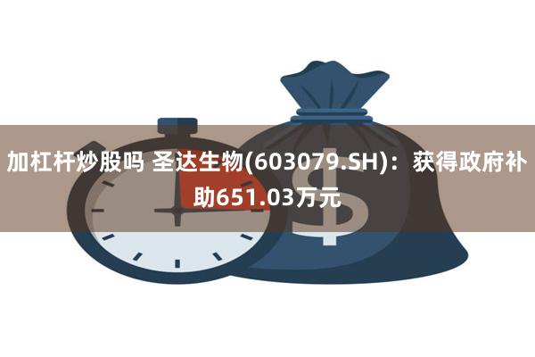 加杠杆炒股吗 圣达生物(603079.SH)：获得政府补助651.03万元