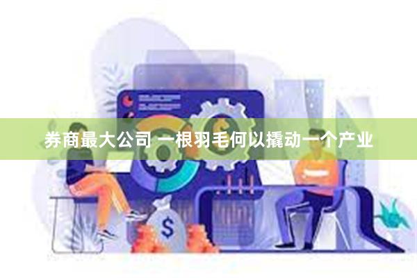 券商最大公司 一根羽毛何以撬动一个产业
